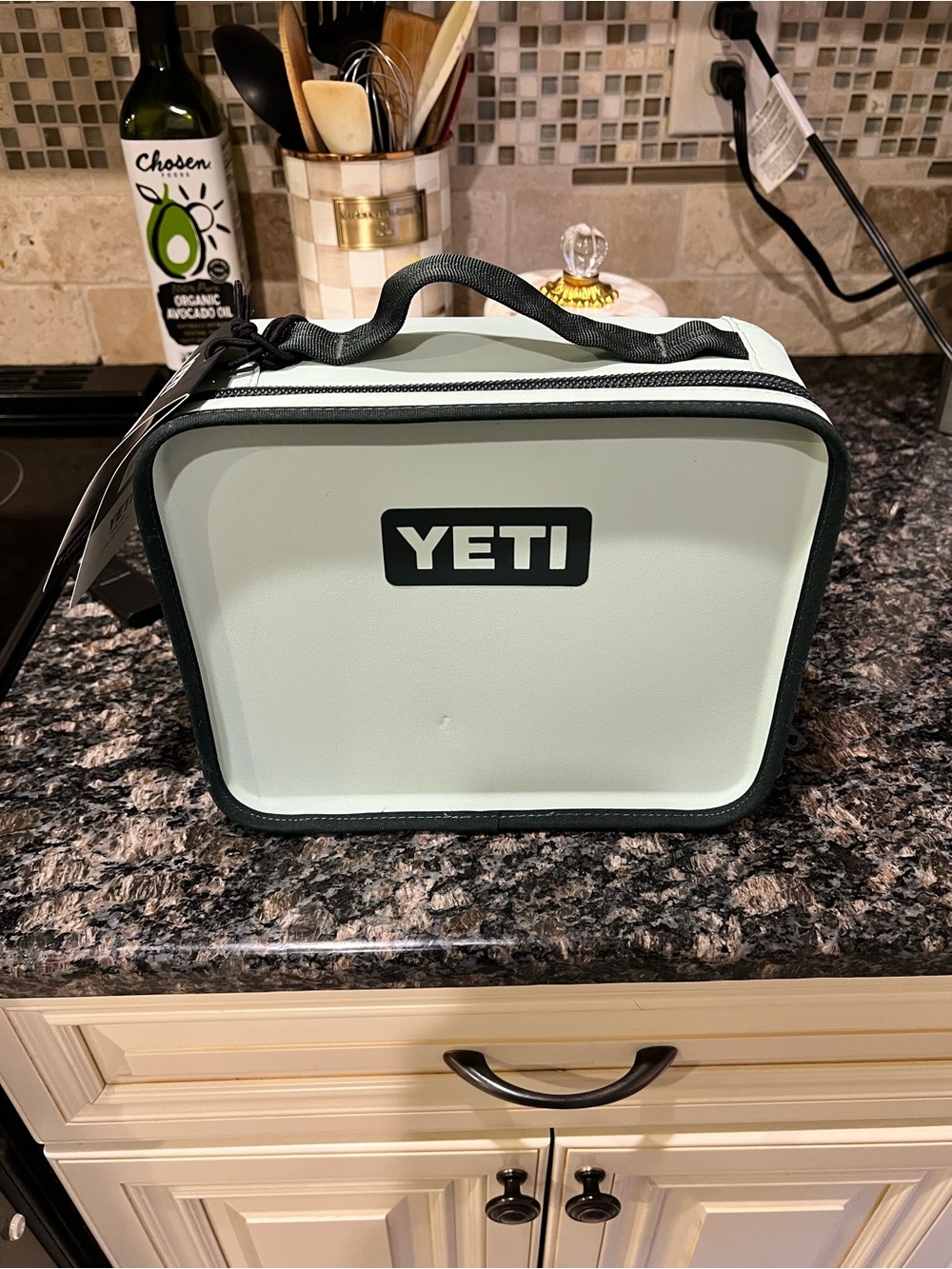 NWT YETI DayTrip LunchBox in SageBrush Green